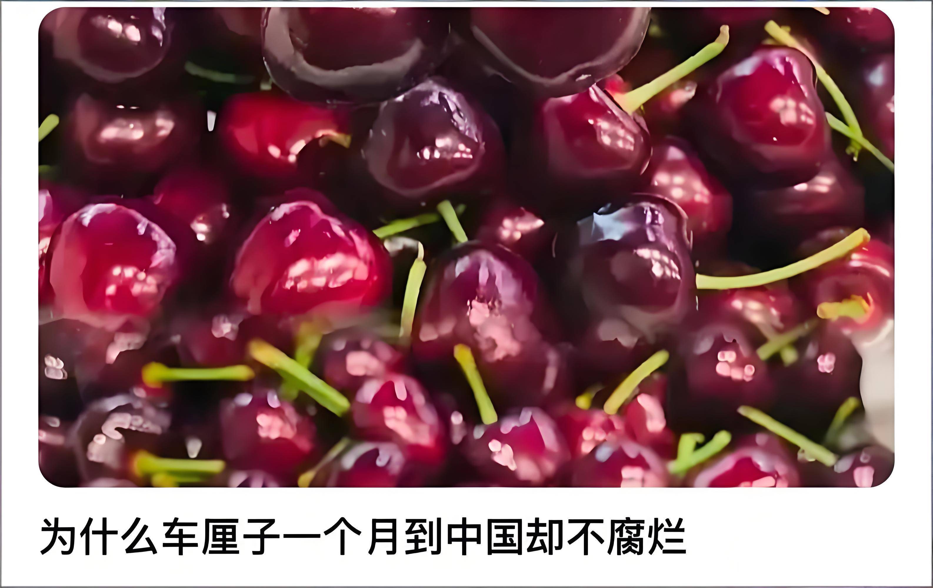 原創為啥車釐子1個月到中國都不腐爛?一場精心策劃的“水果冬眠”