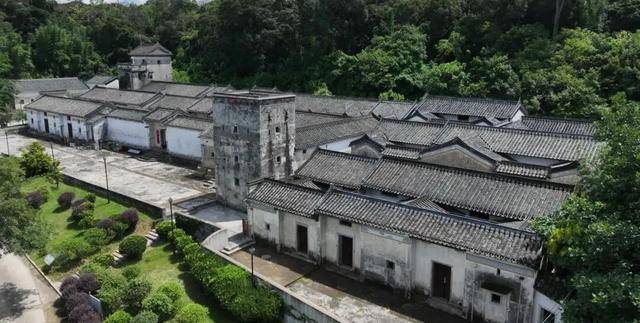 冬日浪漫！深圳坪山賞梅路線快收藏好