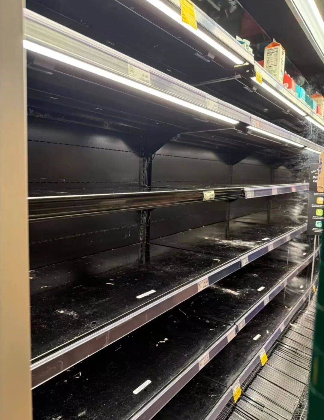 恐怖！超級寒潮襲擊北美，零下33度，1.2萬個航班取消…留學生待在家裡別出來！