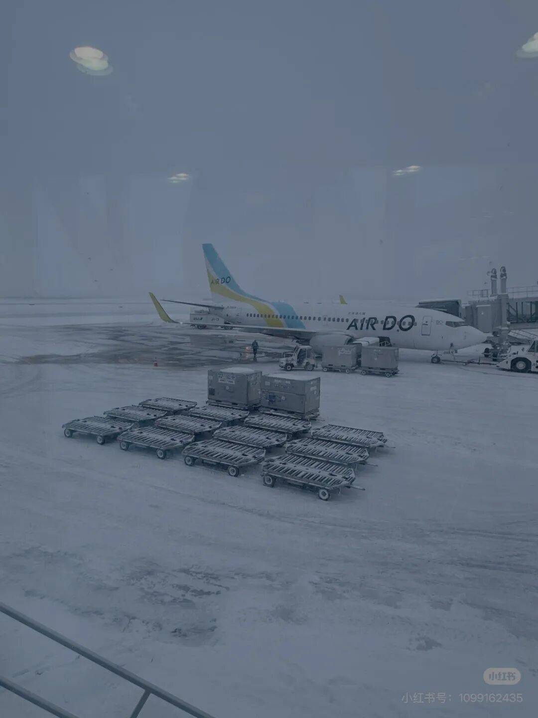 航班大量取消！超市貨架拿空！不少中國網友發文稱滯留日本，“簡直是災難”……