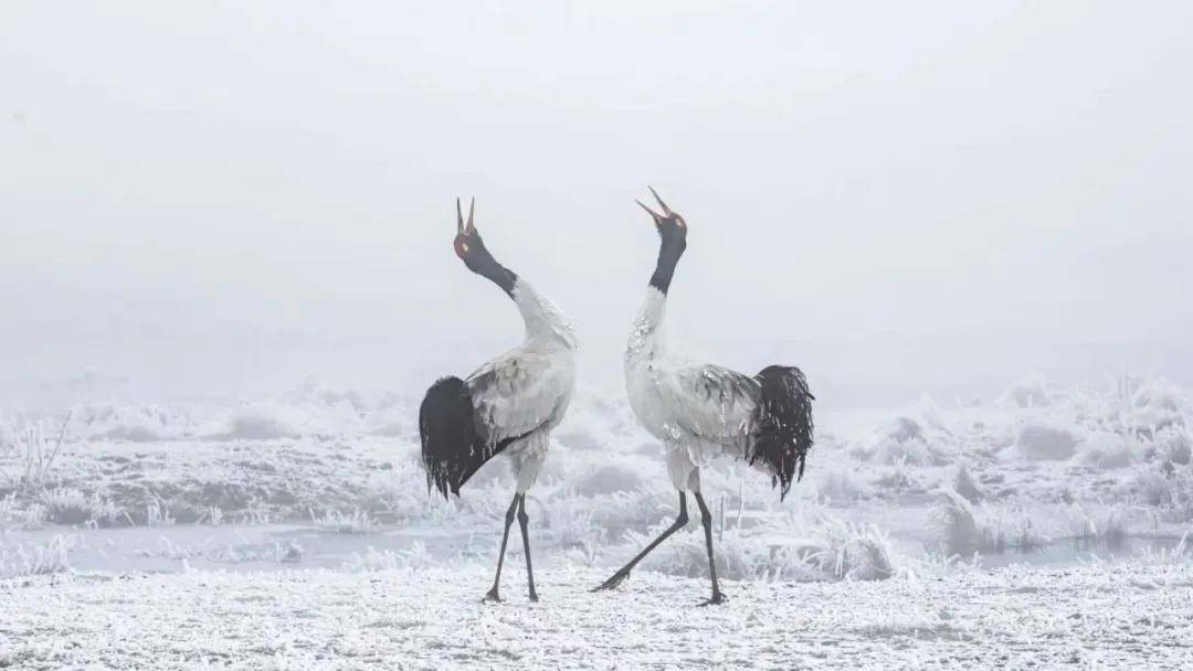 國際旅遊攝影網2026年國內外攝影路線全景指南