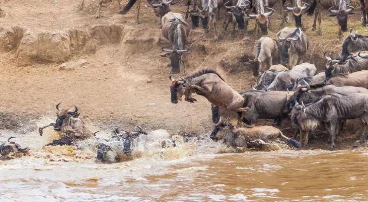 國際旅遊攝影網2026年國內外攝影路線全景指南