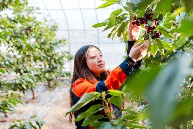 巾幗綻芳華！看順義女性的智慧與力量