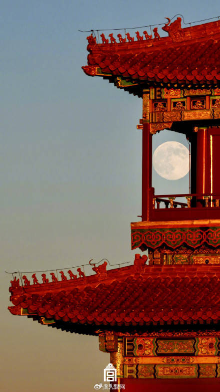 轉發收藏！故宮收藏了一整年的詩意