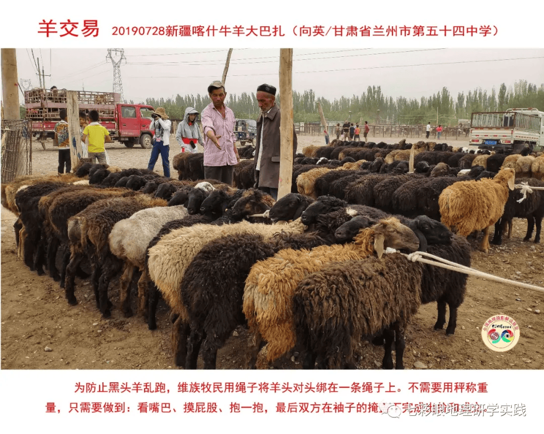 200個地理閱讀和命題的好素材