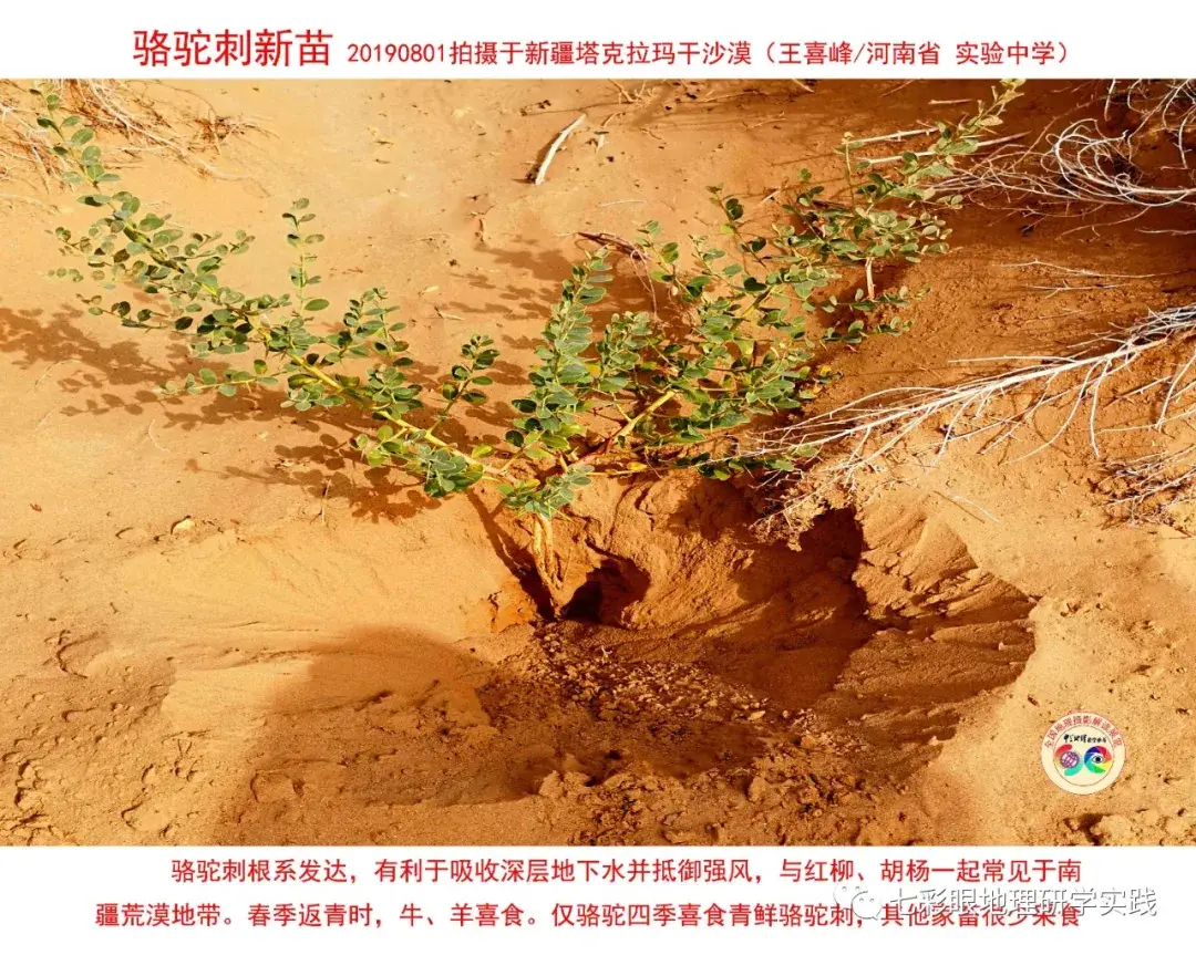 200個地理閱讀和命題的好素材