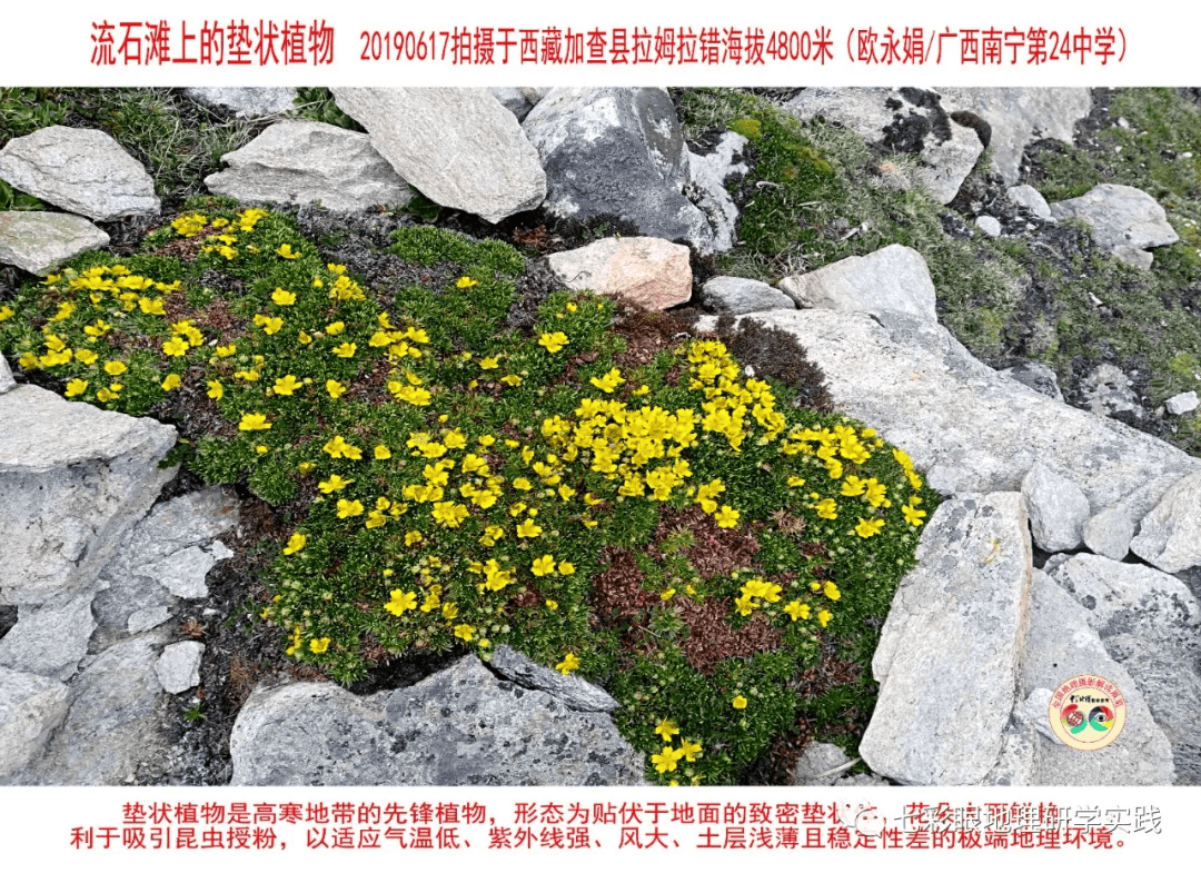 200個地理閱讀和命題的好素材