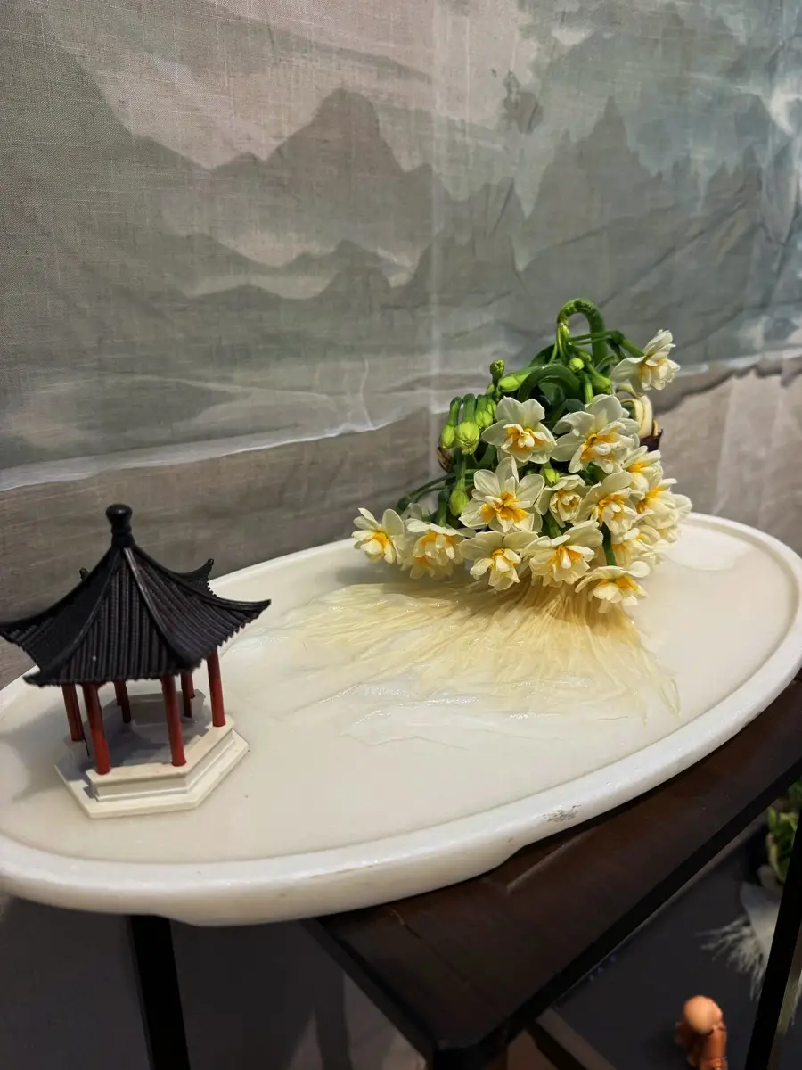 上海共青森林公園新春水仙展開幕，市民水仙雕刻大賽同步啟動