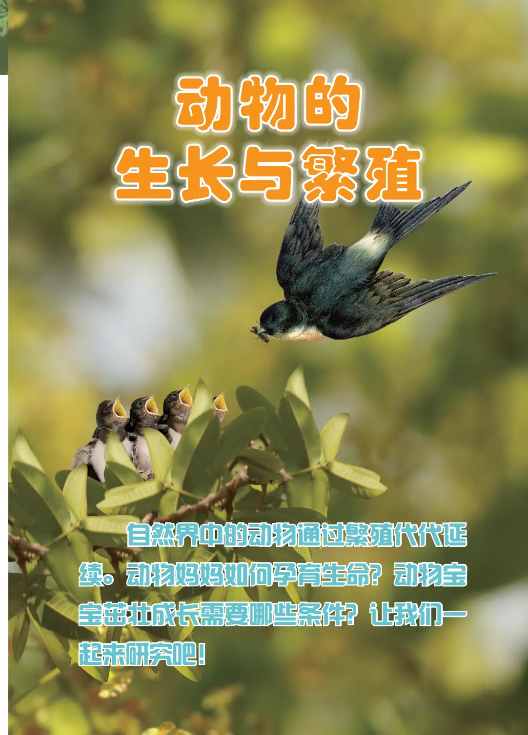 2026冀人版四年級科學下冊電子課本(PDF高畫質版新教材)