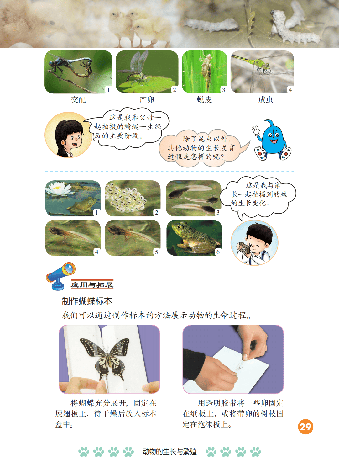 2026冀人版四年級科學下冊電子課本(PDF高畫質版新教材)