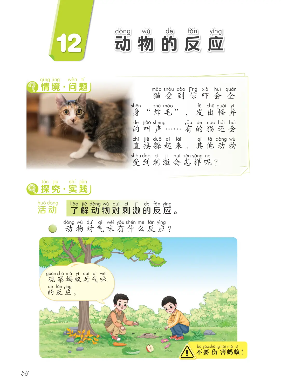 2026青島版一年級科學下冊電子課本(PDF高畫質版新教材)