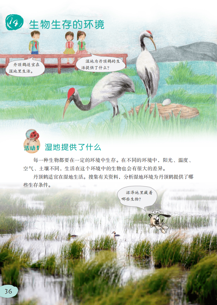 2026粵教版六年級科學下冊電子課本(PDF高畫質版新教材)