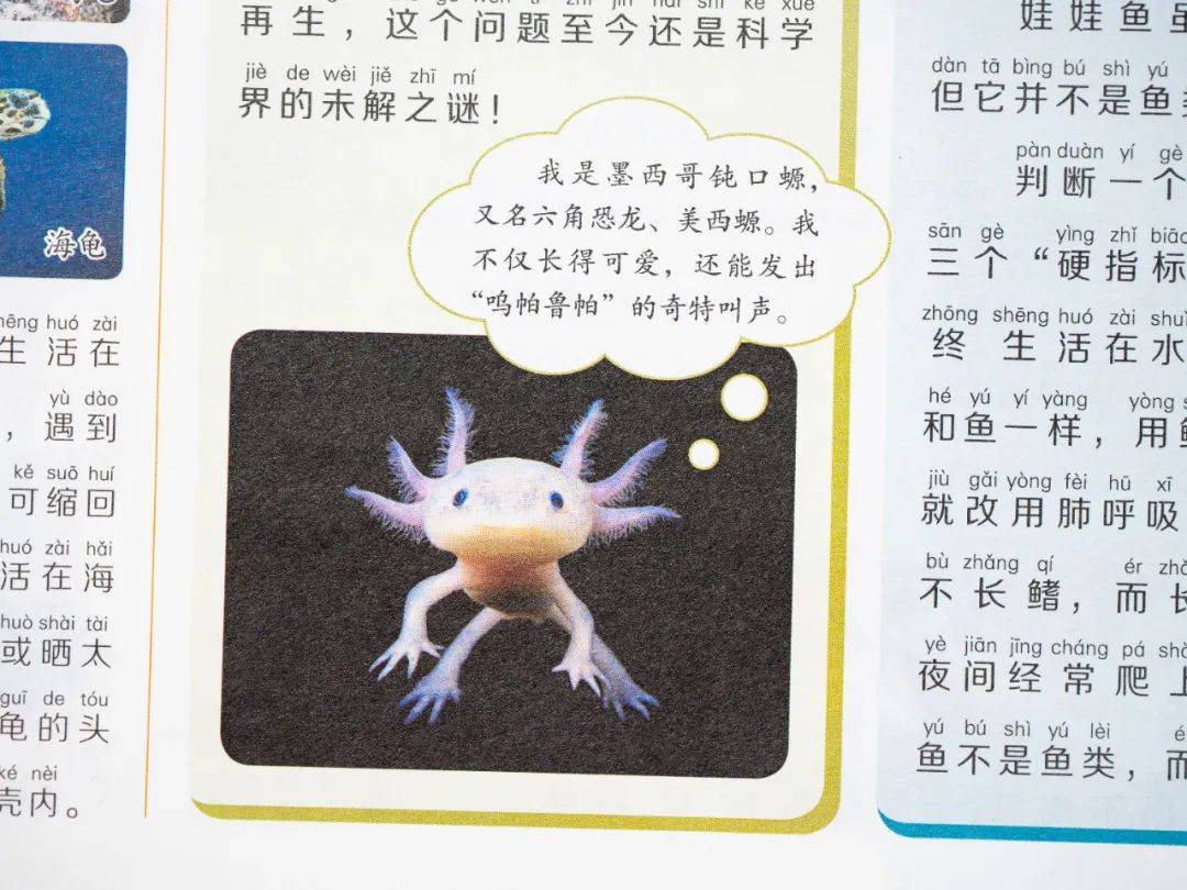 新的隱形攀比，正在小學悄悄流行！老師從來不說，但家長要知道