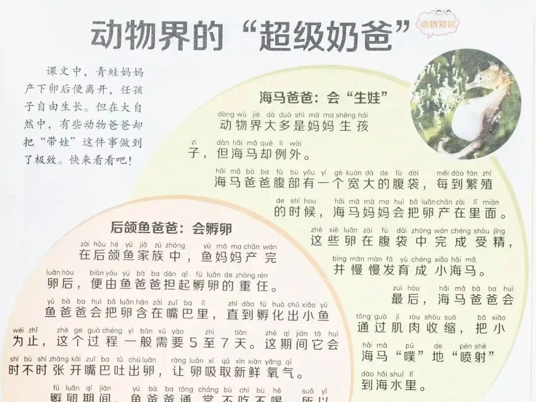 新的隱形攀比，正在小學悄悄流行！老師從來不說，但家長要知道