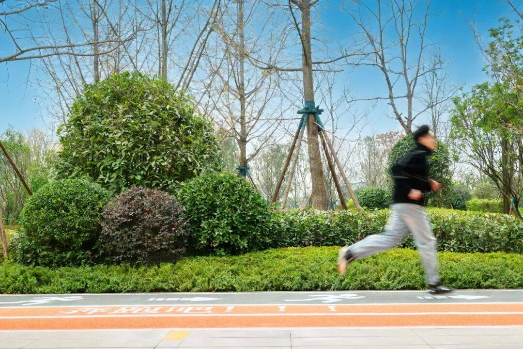 保租房、永珍天地、“天空之城”……成都TOD最新訊息來啦→