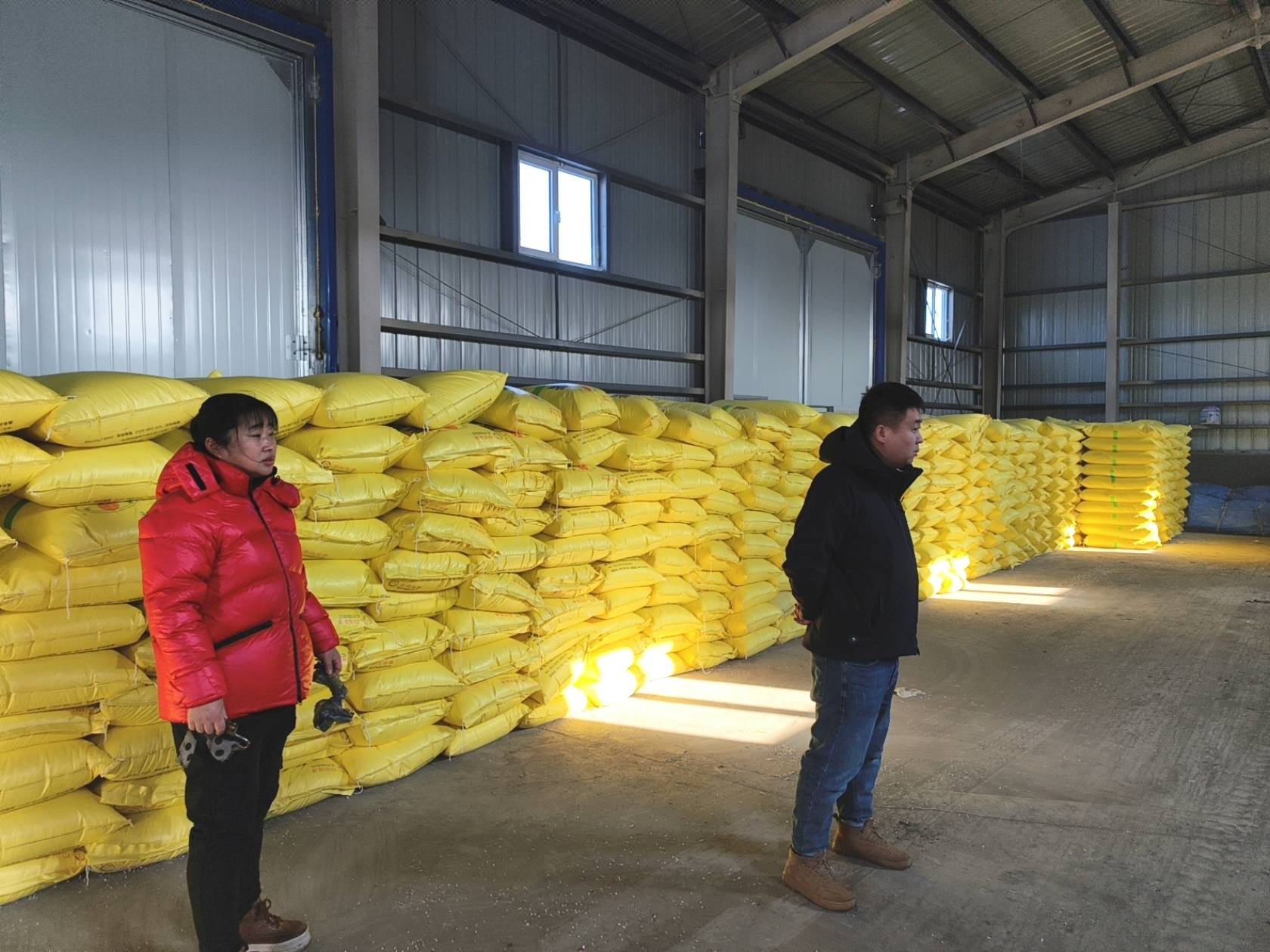 聚焦北大荒｜八五六分公司：加強倉儲管理 保障春播生產