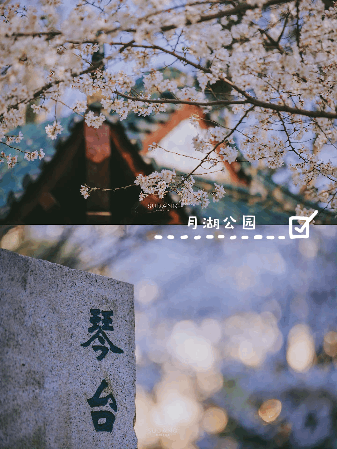 原創武漢賞櫻攻略請收藏！除了武大和東湖，還有這些免費打卡地哦