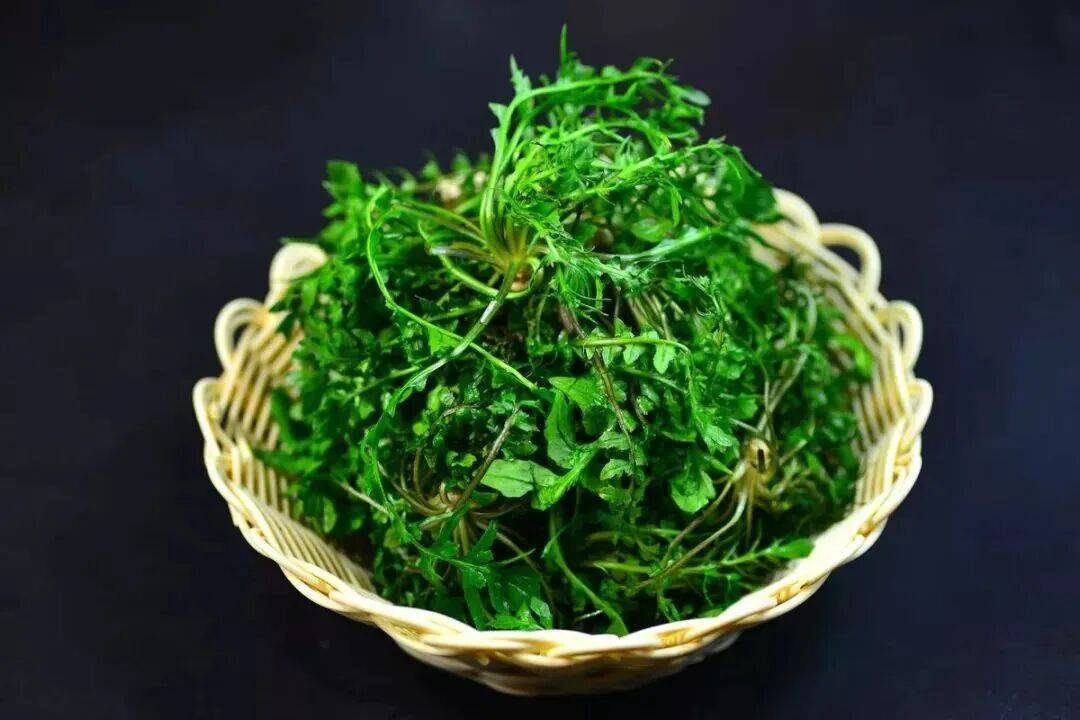 春季美食品鑑•陝西省鎮坪縣人的春天，都吃什麼呢？