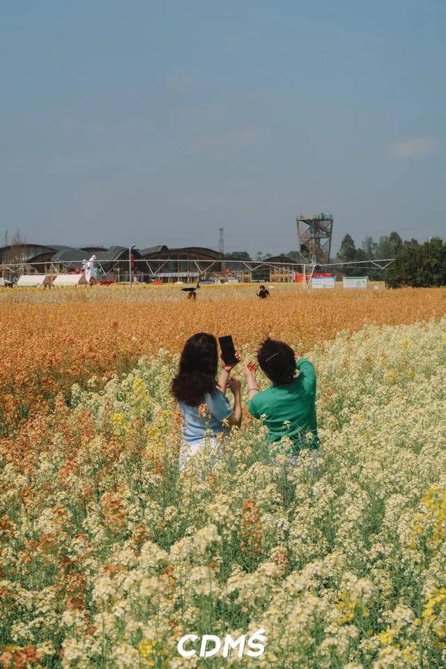 收藏！新津美食地圖更新了