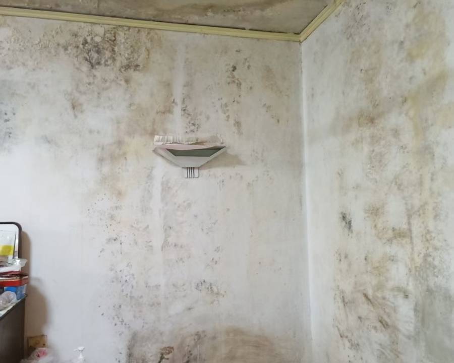 臥室漏水牆壁發黴地板鼓脹 高齡老人4個月寢食難安