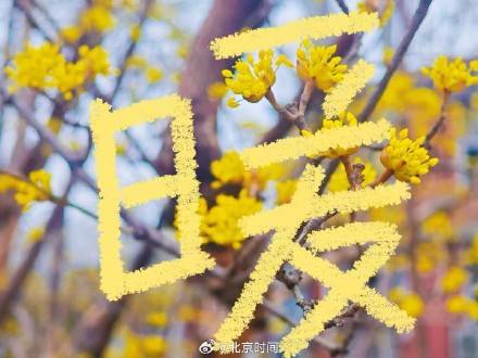 用八筆漢字收藏北京春日