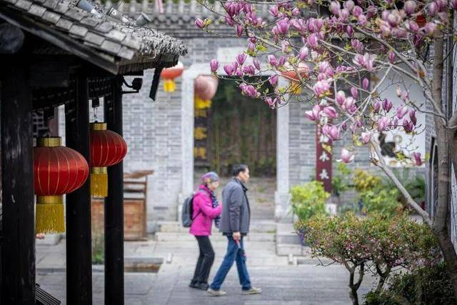 速收藏！棗莊臺兒莊古城春之花影與夜燈，錯過再等一年喲！