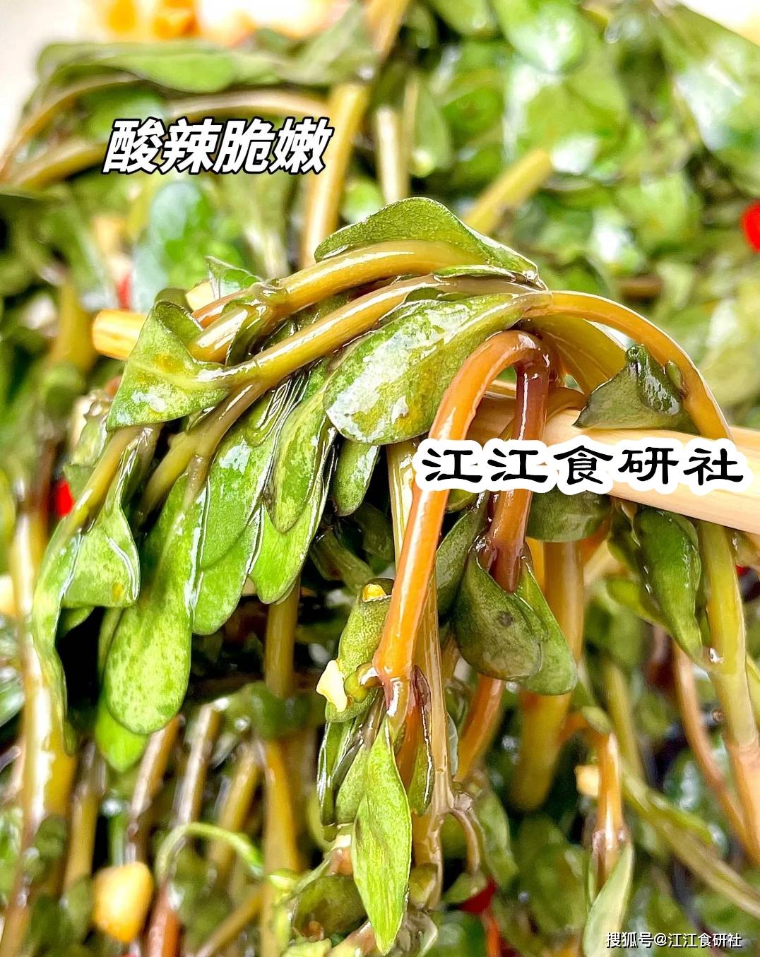 原創春季，少吃油炸食品！多吃這3樣“涼血降火菜”，建議收藏！