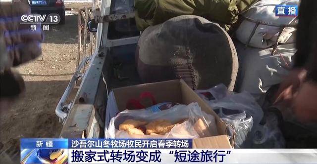 20萬餘頭牛羊“搬家”進行中 阿勒泰春季轉場有多壯觀