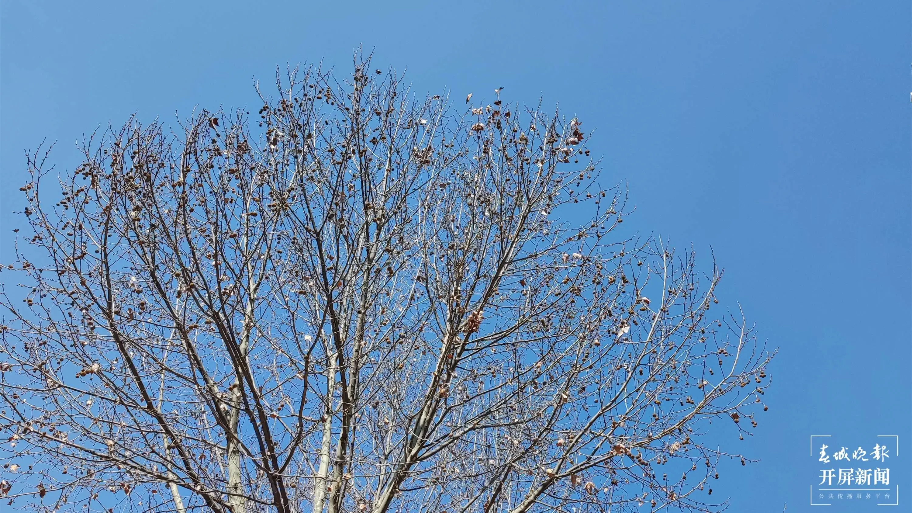 【開屏早知道】附崗位表！雲南新一批招聘公告來了