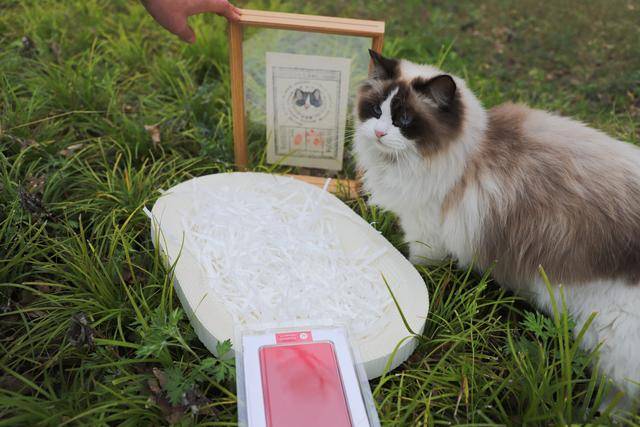 趁春光正好，去圖書館感受書香“四月天”