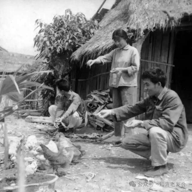 詩意江城：律賦•知青賦——詩人董學德最新創作詩歌欣賞