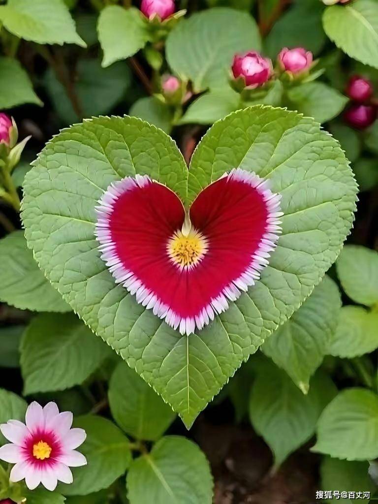 2026深圳高三一模作文“戲劇性的瞬間”導寫與精選範文5篇