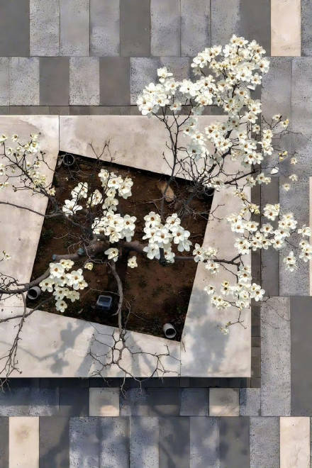 收藏轉發！春天就是要到花海里去