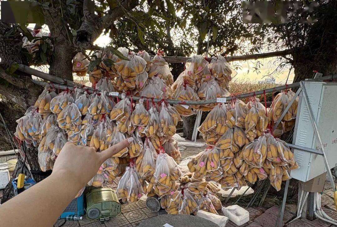 全中國最接地氣的大學生，被小看了