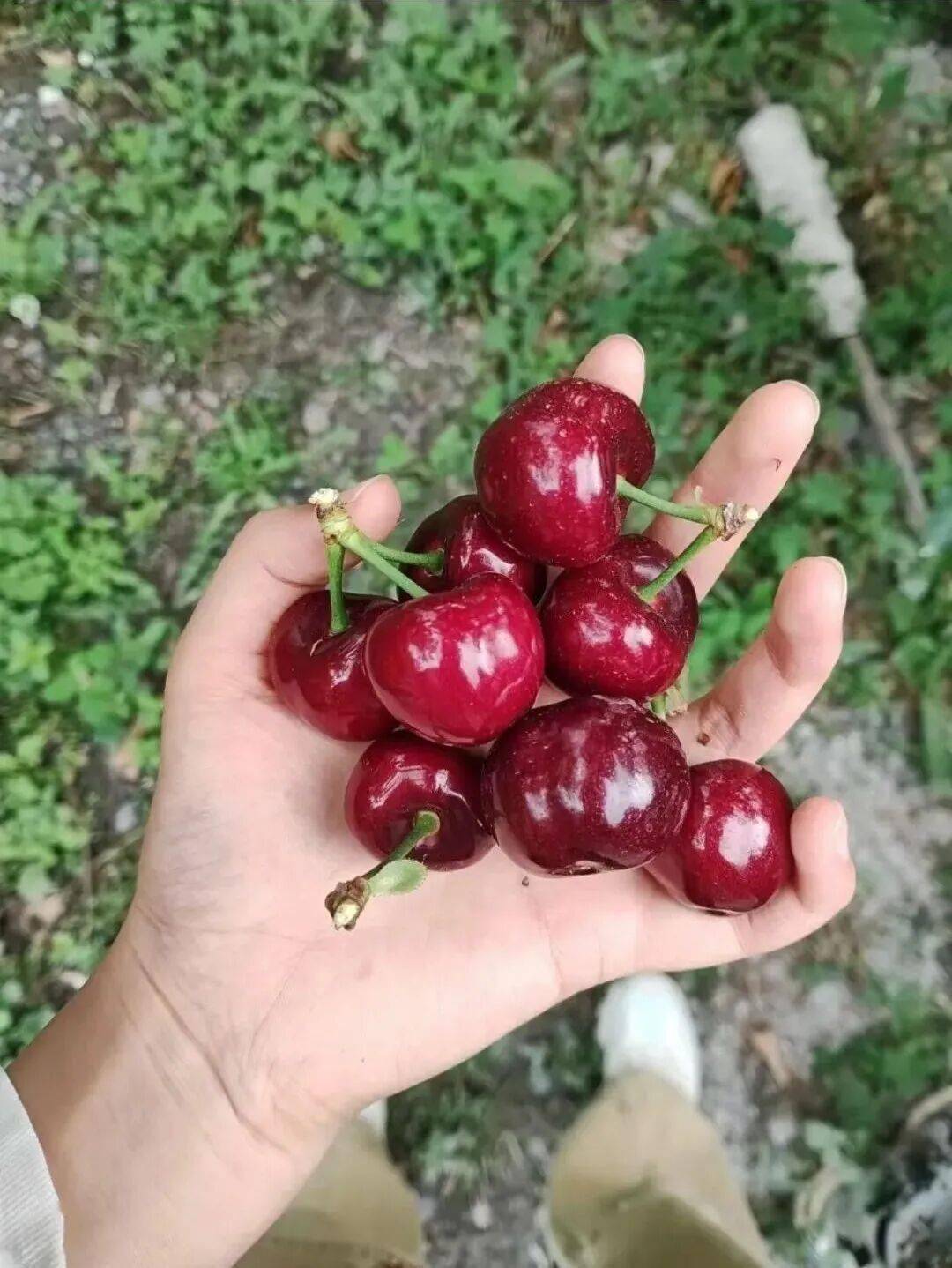 全中國最接地氣的大學生，被小看了