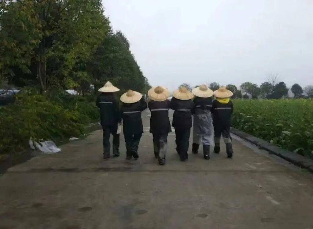 全中國最接地氣的大學生，被小看了