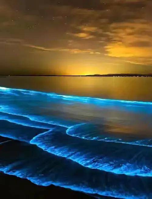 平潭島藍眼淚，霞浦海帶季、船𠂆油漆工、惠安女、山腰鹽廠、潯埔女攝影團