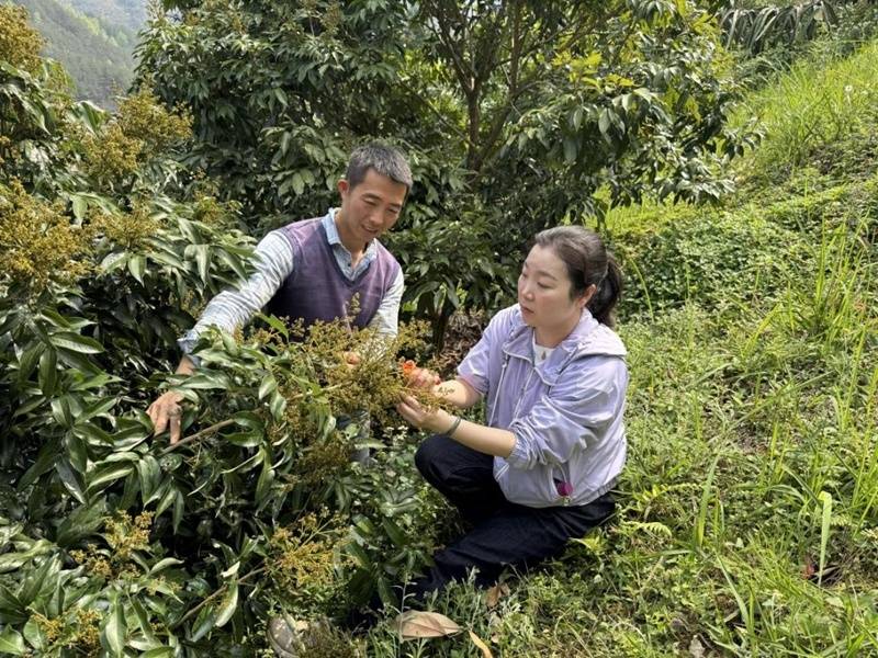貴州省農科院：把論文寫在大地上 把政績立在田野間