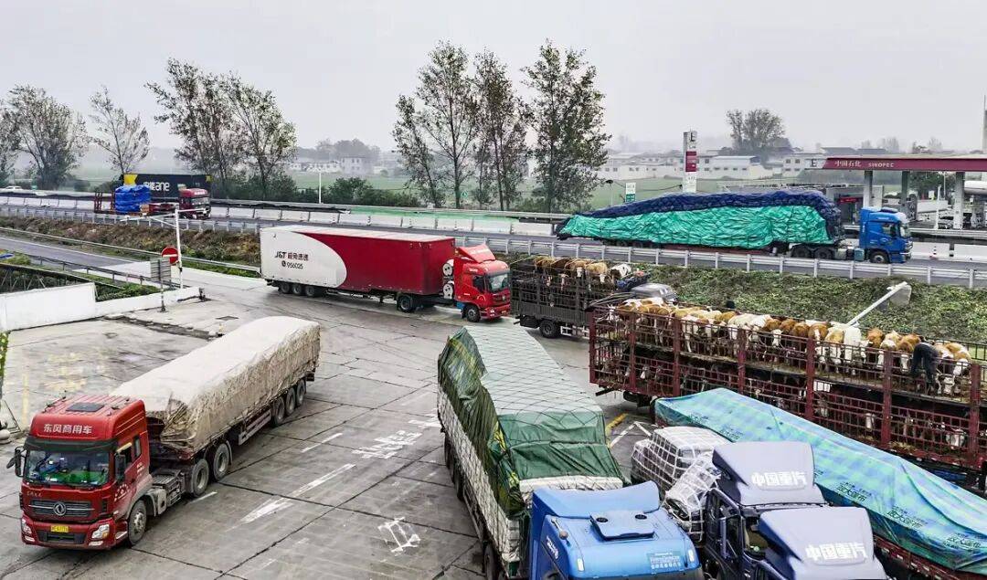 政策 | 油價“破9”撞上史上最嚴治超！物流行業何去何從