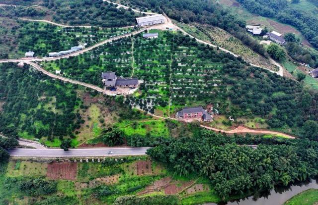 生動！這一幅幅“科技春耕”圖