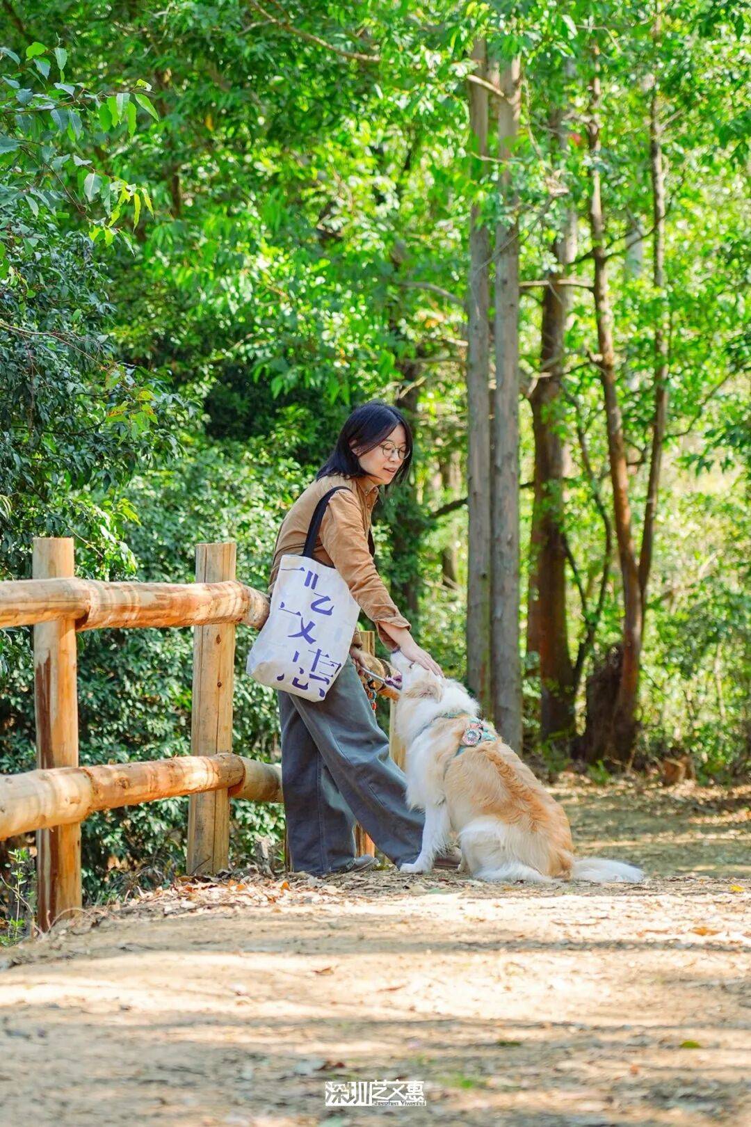今日深圳｜聽說，羅芳郊野徑新開了個“狗狗圖書館”