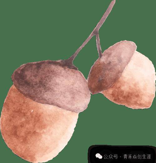 外語類考研熱門方向盤點：MTI翻譯碩士之外，這些方向競爭小前景好