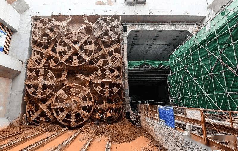 深圳5所高校上榜！中國大學最新排名公佈！