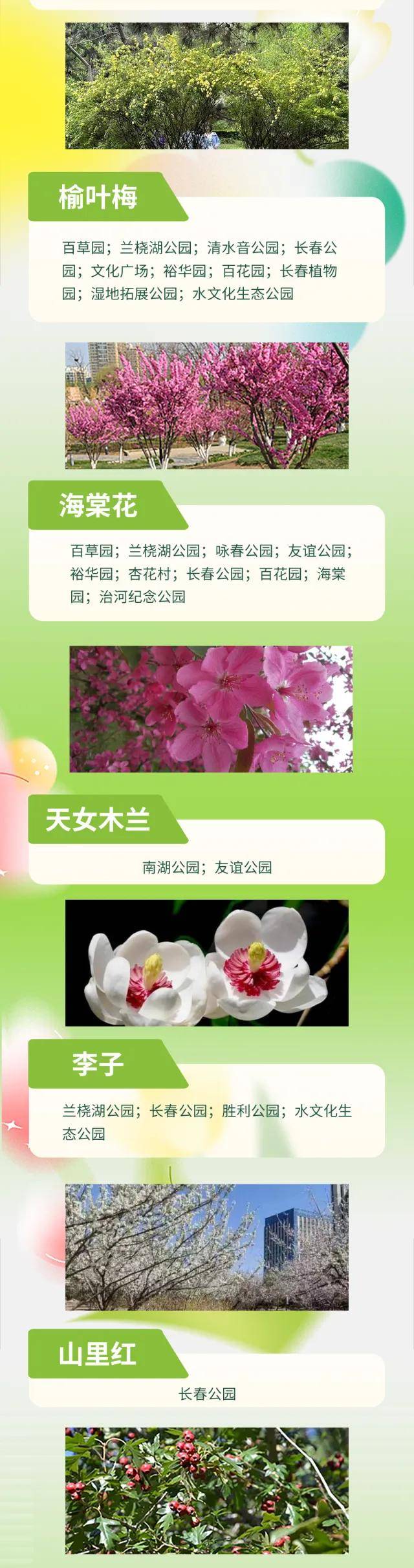 絕了！一直開開開不完！賞花攻略趕緊收藏