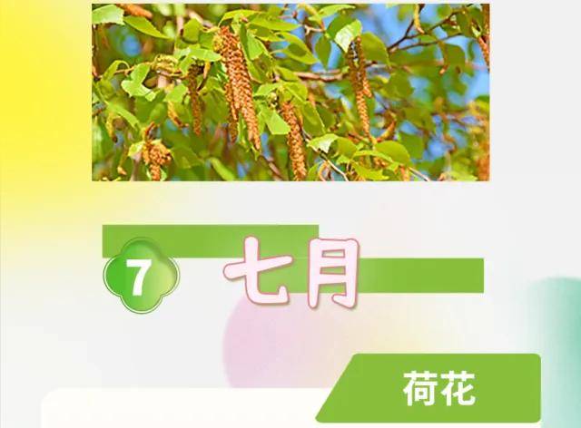 絕了！一直開開開不完！賞花攻略趕緊收藏