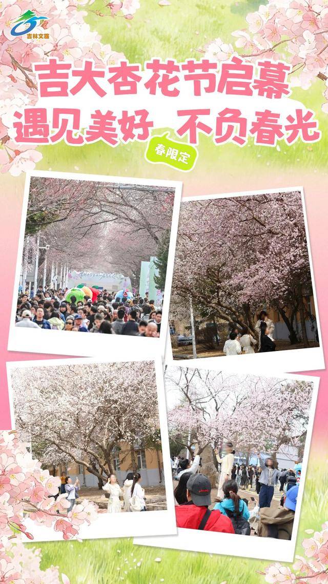 絕美杏花大道上線！拍照點位速速收藏！