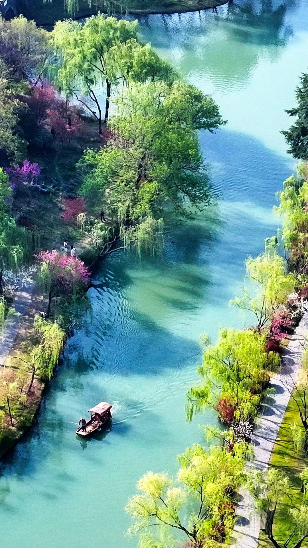 春日限定屏保，轉發收藏→