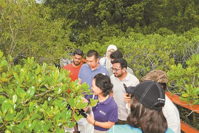 探訪古村溼地 共話山海之美 “APEC中國年 留學生在生態深圳”系列活動走進大鵬