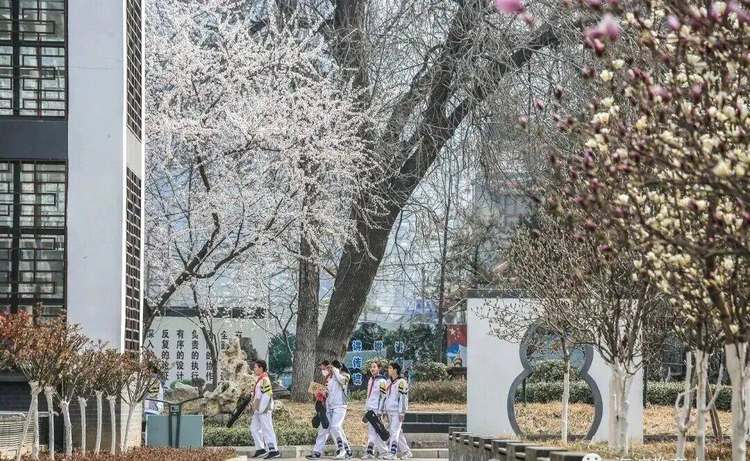 速看！海淀多所中小幼學校招聘——