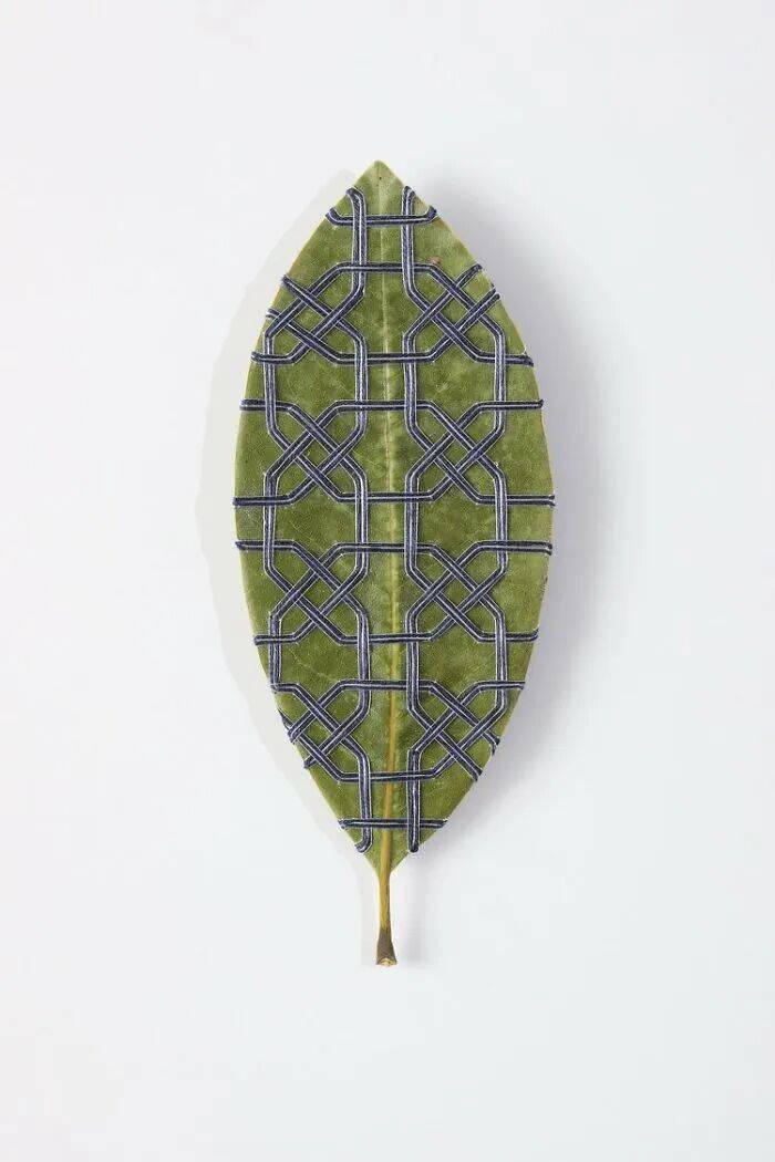 她用針線在幹樹葉上刺繡，最終完成的作品，讓人直呼驚豔